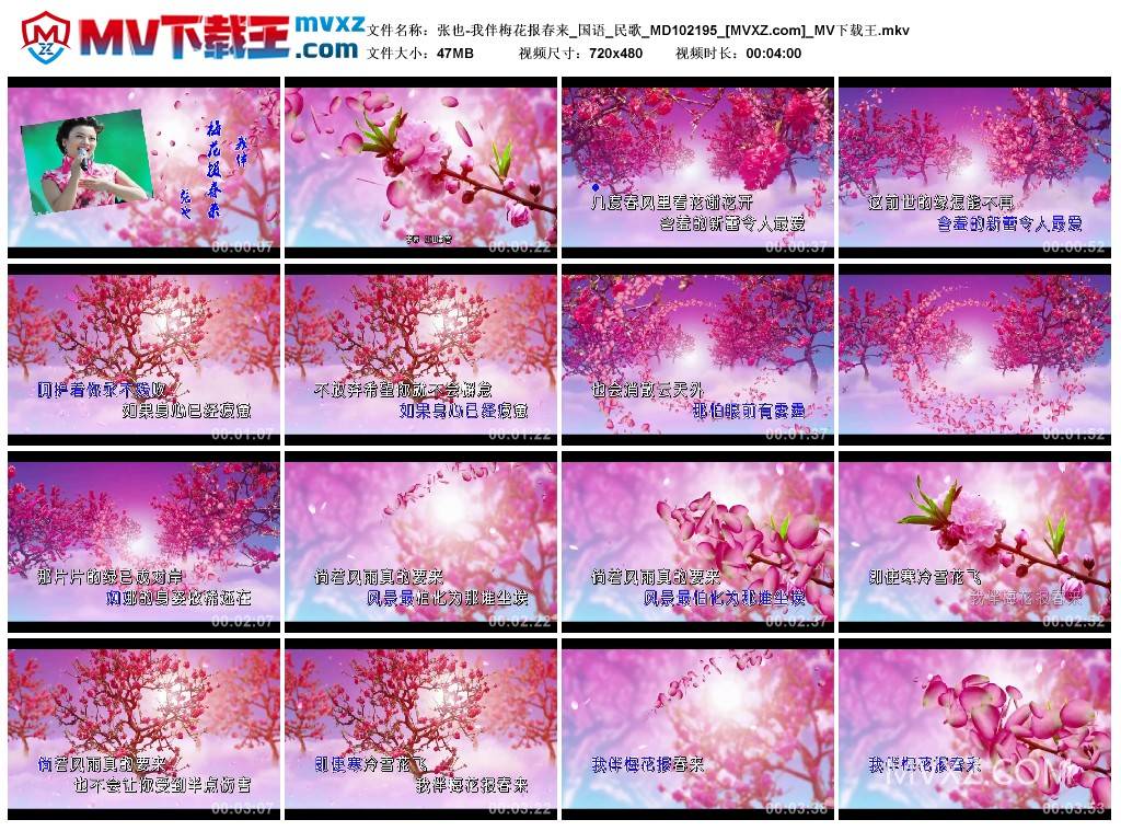 张也-我伴梅花报春来_国语_民歌_MD102195